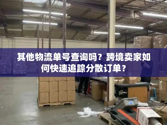 其他物流单号查询吗？跨境卖家如何快速追踪分散订单？