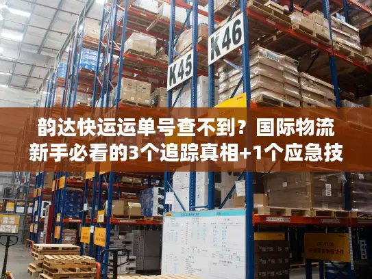 韵达快运运单号查不到？国际物流新手必看的3个追踪真相+1个应急技巧