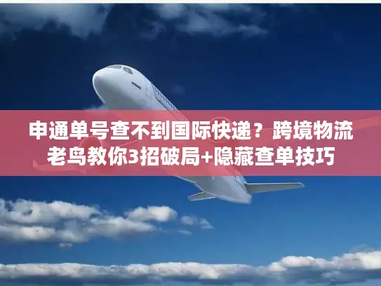 申通单号查不到国际快递？跨境物流老鸟教你3招破局+隐藏查单技巧