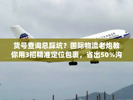 货号查询总踩坑？国际物流老炮教你用3招精准定位包裹，省出50%沟通时间