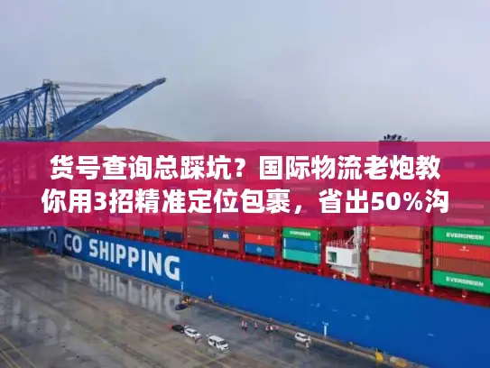 货号查询总踩坑？国际物流老炮教你用3招精准定位包裹，省出50%沟通时间