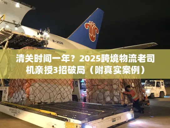 清关时间一年？2025跨境物流老司机亲授3招破局（附真实案例）