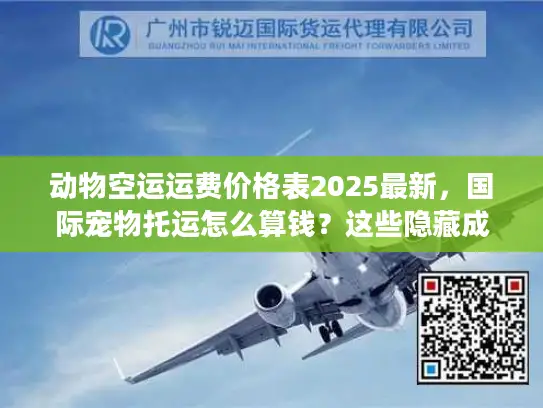 动物空运运费价格表2025最新，国际宠物托运怎么算钱？这些隐藏成本别踩坑！