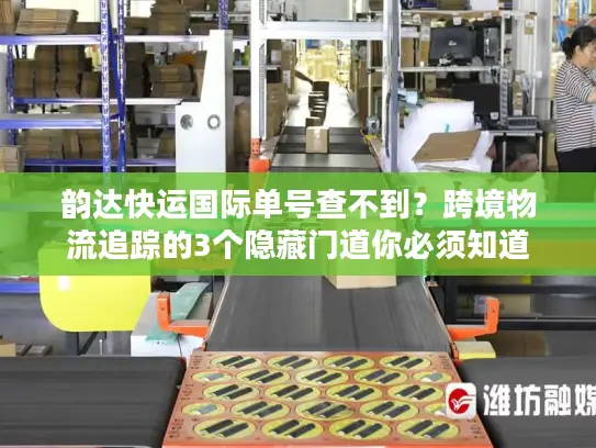 韵达快运国际单号查不到？跨境物流追踪的3个隐藏门道你必须知道