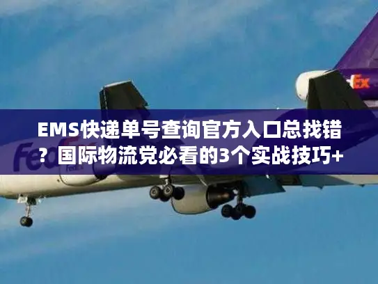 EMS快递单号查询官方入口总找错？国际物流党必看的3个实战技巧+避坑指南