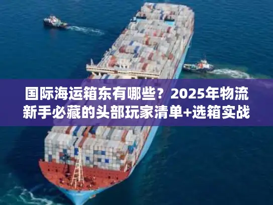 国际海运箱东有哪些？2025年物流新手必藏的头部玩家清单+选箱实战技巧