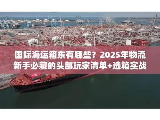 国际海运箱东有哪些？2025年物流新手必藏的头部玩家清单+选箱实战技巧