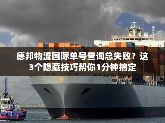 德邦物流国际单号查询总失败？这3个隐藏技巧帮你1分钟搞定
