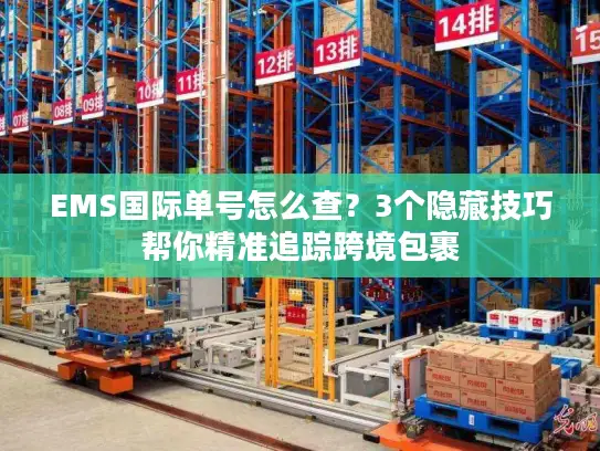 EMS国际单号怎么查？3个隐藏技巧帮你精准追踪跨境包裹