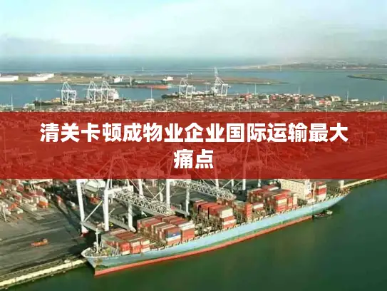 清关卡顿成物业企业国际运输最大痛点