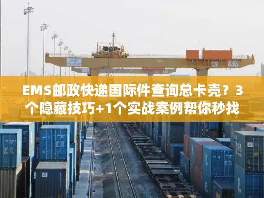 EMS邮政快递国际件查询总卡壳？3个隐藏技巧+1个实战案例帮你秒找包裹轨迹