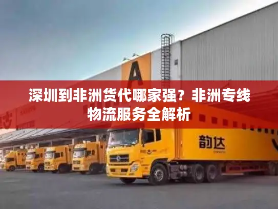 深圳到非洲货代哪家强？非洲专线物流服务全解析