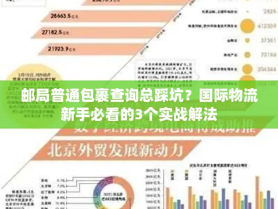 邮局普通包裹查询总踩坑？国际物流新手必看的3个实战解法
