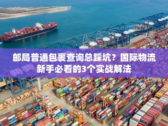 邮局普通包裹查询总踩坑？国际物流新手必看的3个实战解法