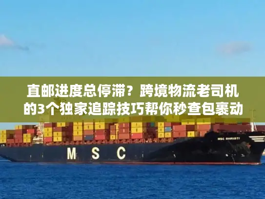 直邮进度总停滞？跨境物流老司机的3个独家追踪技巧帮你秒查包裹动态