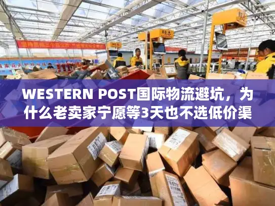 WESTERN POST国际物流避坑，为什么老卖家宁愿等3天也不选低价渠道？