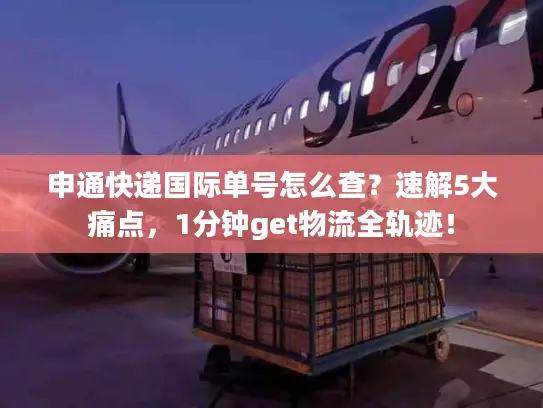 申通快递国际单号怎么查？速解5大痛点，1分钟get物流全轨迹！