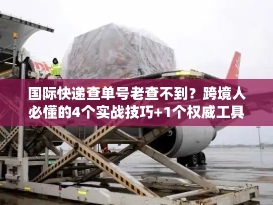 国际快递查单号老查不到？跨境人必懂的4个实战技巧+1个权威工具