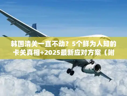 韩国清关一直不动？5个鲜为人知的卡关真相+2025最新应对方案（附实战案例）