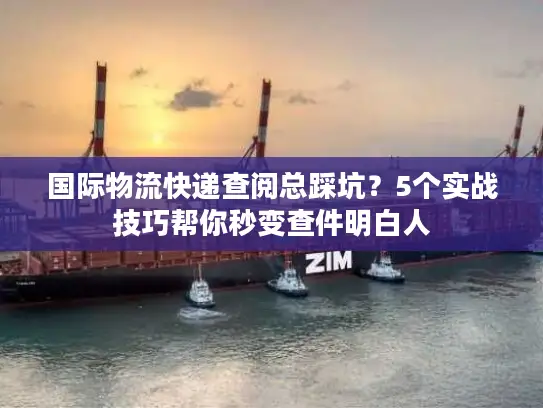 国际物流快递查阅总踩坑？5个实战技巧帮你秒变查件明白人