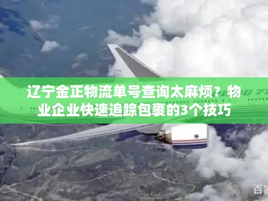 辽宁金正物流单号查询太麻烦？物业企业快速追踪包裹的3个技巧