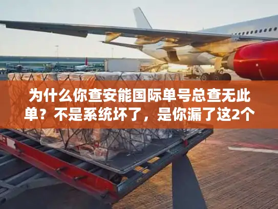为什么你查安能国际单号总查无此单？不是系统坏了，是你漏了这2个关键步骤