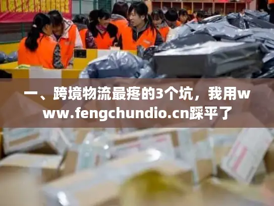一、跨境物流最疼的3个坑，我用www.fengchundio.cn踩平了