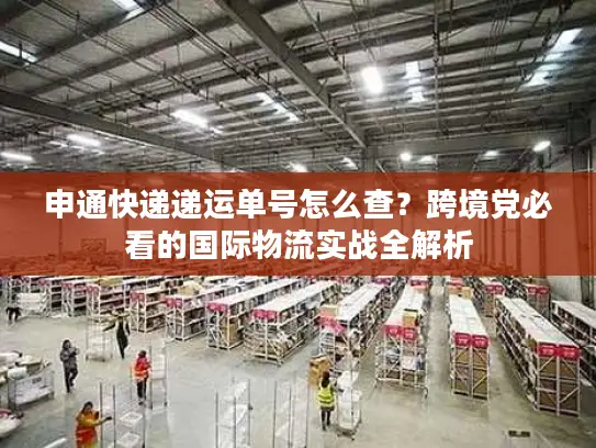 申通快递递运单号怎么查？跨境党必看的国际物流实战全解析