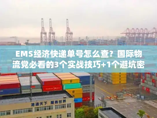 EMS经济快递单号怎么查？国际物流党必看的3个实战技巧+1个避坑密码