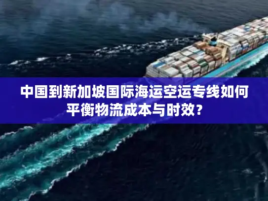 中国到新加坡国际海运空运专线如何平衡物流成本与时效？