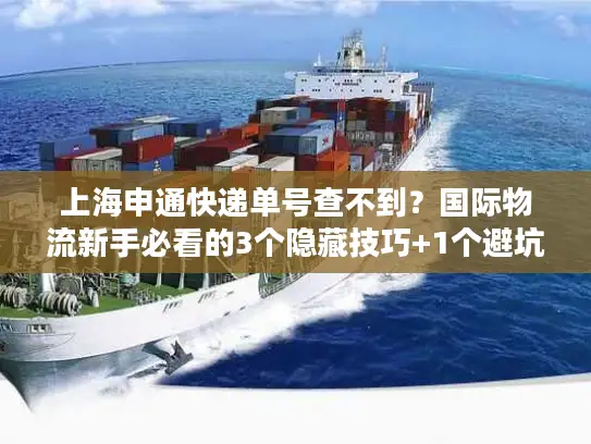 上海申通快递单号查不到？国际物流新手必看的3个隐藏技巧+1个避坑案例