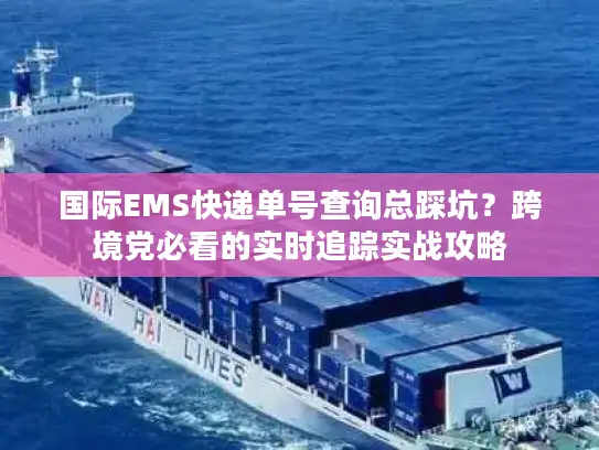 国际EMS快递单号查询总踩坑？跨境党必看的实时追踪实战攻略