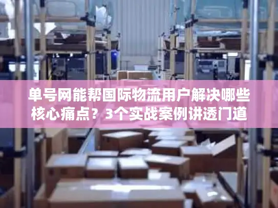 单号网能帮国际物流用户解决哪些核心痛点？3个实战案例讲透门道