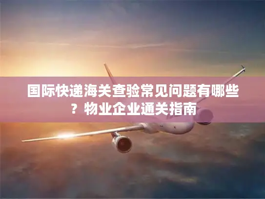 国际快递海关查验常见问题有哪些？物业企业通关指南