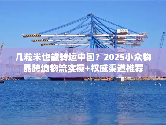 几粒米也能转运中国？2025小众物品跨境物流实操+权威渠道推荐