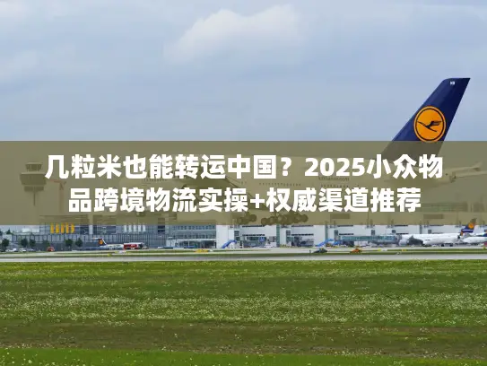几粒米也能转运中国？2025小众物品跨境物流实操+权威渠道推荐