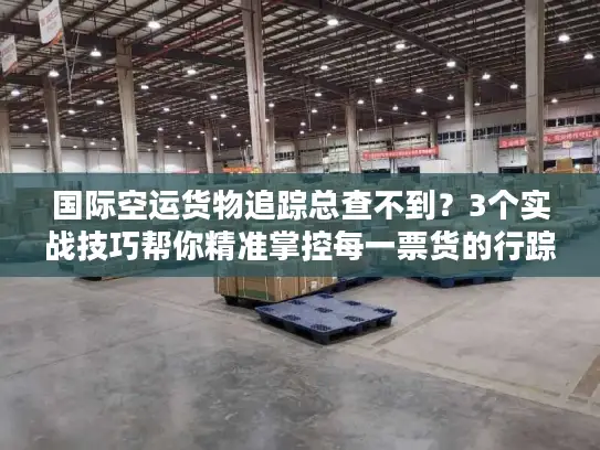 国际空运货物追踪总查不到？3个实战技巧帮你精准掌控每一票货的行踪