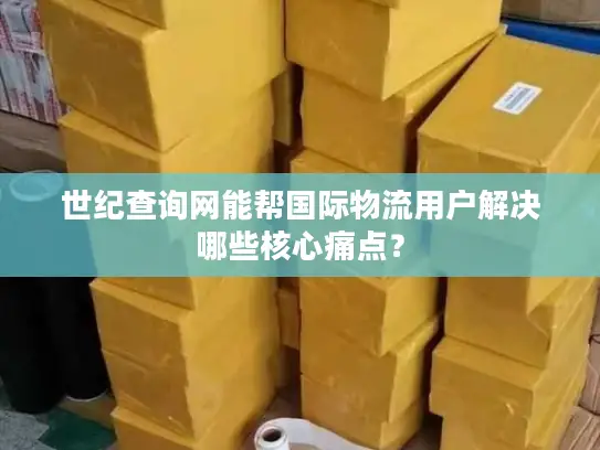 世纪查询网能帮国际物流用户解决哪些核心痛点？