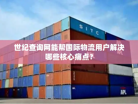 世纪查询网能帮国际物流用户解决哪些核心痛点？