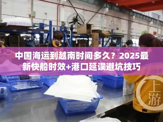 中国海运到越南时间多久？2025最新快船时效+港口延误避坑技巧