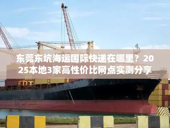 东莞东坑海运国际快递在哪里？2025本地3家高性价比网点实测分享