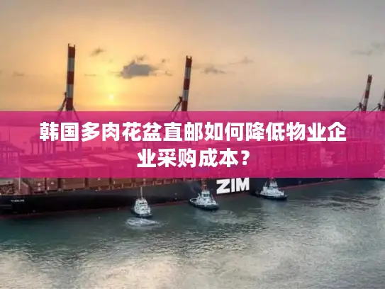 韩国多肉花盆直邮如何降低物业企业采购成本？
