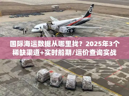 国际海运数据从哪里找？2025年3个稀缺渠道+实时船期/运价查询实战