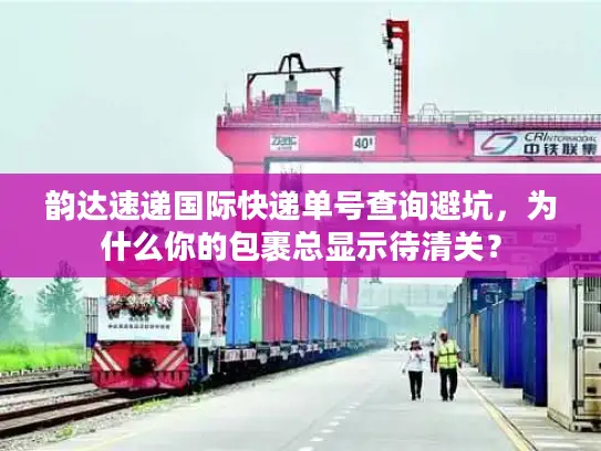 韵达速递国际快递单号查询避坑，为什么你的包裹总显示待清关？