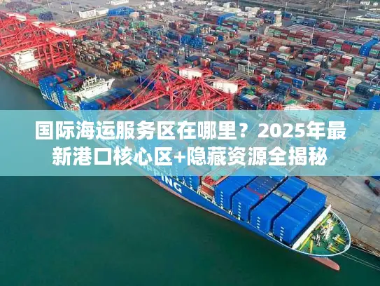 国际海运服务区在哪里？2025年最新港口核心区+隐藏资源全揭秘