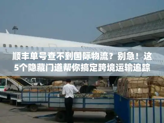 顺丰单号查不到国际物流？别急！这5个隐藏门道帮你搞定跨境运输追踪