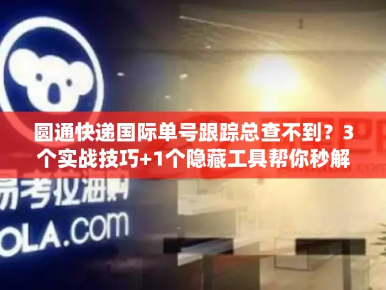 圆通快递国际单号跟踪总查不到？3个实战技巧+1个隐藏工具帮你秒解决