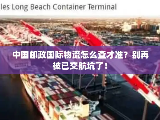 中国邮政国际物流怎么查才准？别再被已交航坑了！