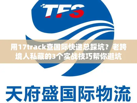 用17track查国际快递总踩坑？老跨境人私藏的3个实战技巧帮你避坑