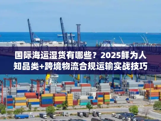 国际海运湿货有哪些？2025鲜为人知品类+跨境物流合规运输实战技巧